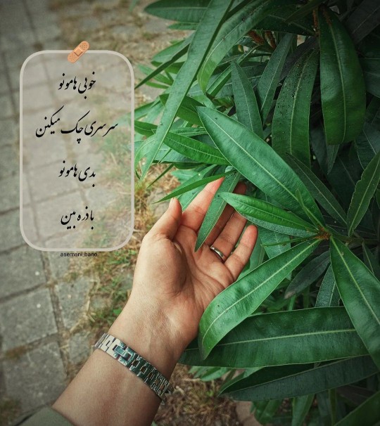 دقیقا 👌👌😑حکایت خیلی هاس 👌👌😑