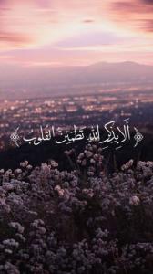💚أَلا بِذِکرِ اللَّهِ تَطمَئِنُّ القُلُوبُ💚