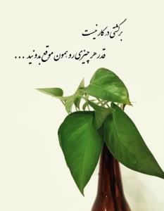 عصر پنج شنبتون بخیر 🖐️🖐️🌹🌹🖐️