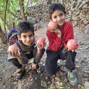 نودشه/نسار۸آبان۱۴۰۴