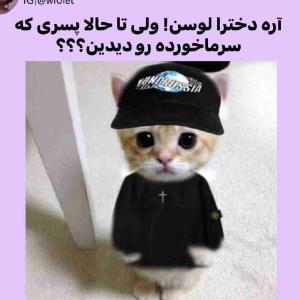 دیدین آیا؟! 😂