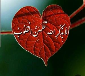 أَلا بِذِکرِ اللَّهِ تَطمَئِنُّ القُلُوبُ»

استادی می فرمود
