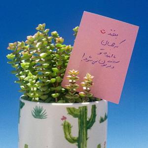 سلام ،روز خوش🌹