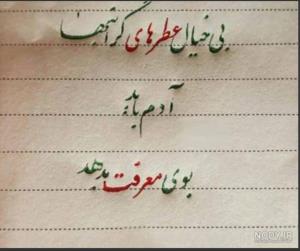 ما مخلص هر چی آدم با معرفتیم