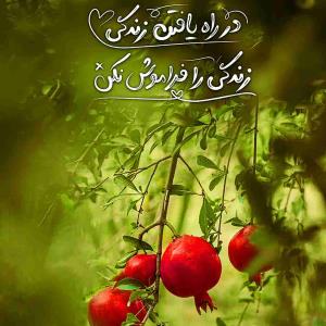 سلام به همگی ان شاءالله آخر هفته خوبی داشته باشید؛ برای هم دعا کنیم که هممون زندگی خوبی داشته باشیم هم مادی هم معنوی🌹❤️‌‌  یه چیزی یادم رفت و اونم اینکه اونایی رو که زندگی دنیاییشون تموم شده این شب جمعه ای فراموش نکنیم منتظرن هدیه ای براشون بفرستیم.🌹🌹🌹