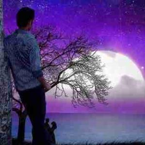 ،،،،،،. عشق پوشالی  ،،،،،.                                         من پذیرفتم که عشق افسانه است  ،،،، این دل درد آشنا دیوانه است ،،،،، میروم شاید فراموشت کنم ،،،،، با فراموشی هم آغوشت کنم ،،،،،،، می روم از رفتنم شاد باش ،،،،، از عذاب دیدنم آزاد باش ،،،،، گرچه تو تنها تر از من میروی ،،،،، آرزو دارم ولی عاشق شوی ،،،، آرزو دارم بفهمی درد را ،،،،،تلخی برخورد های سرد را  ،،،،،،،