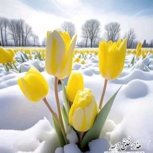 بیخودی زور نزنیم خیلی چیزا قسمته