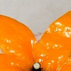 هشتمین تیکه پازل 8️⃣ دیگه داریم به آخرش می‌رسیم 