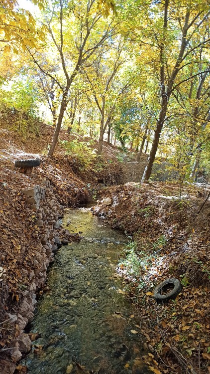 چی میچسبه تو این هوا ؟ 😍