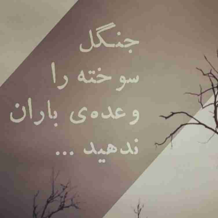 عجب بیهوده تکراریست دنیا....