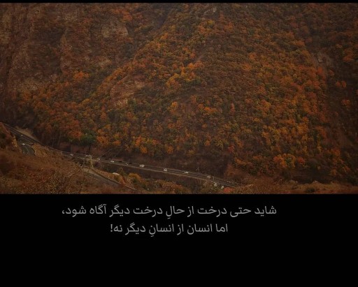 عجب سخنی 🙄🙄🙄👍