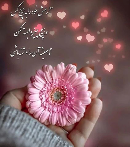 🦋🌾🌼🦋🌾🌼