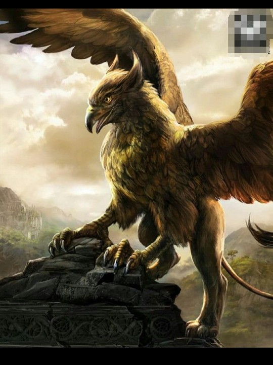 سلام.کسی میدونه اسم این پرنده چیه؟