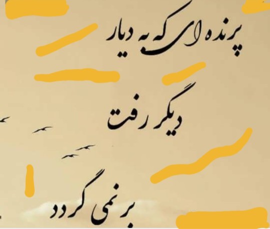 🌹🌹♥️♥️