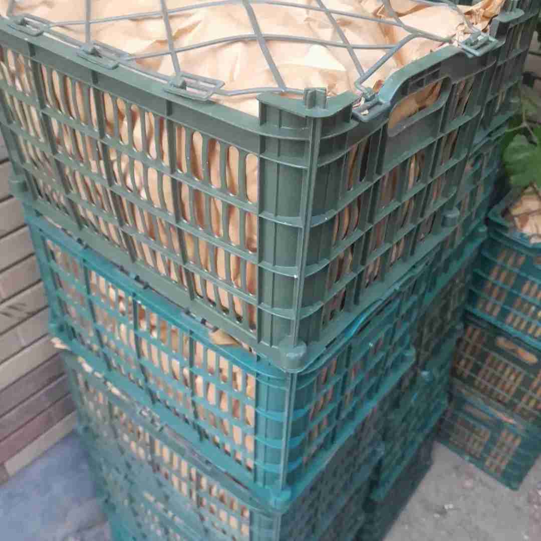 سیب بفرمایید 