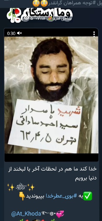 روحشان شاد  خدا که در اون دنیا شفاعت ما را هم بکنند 💚🌷