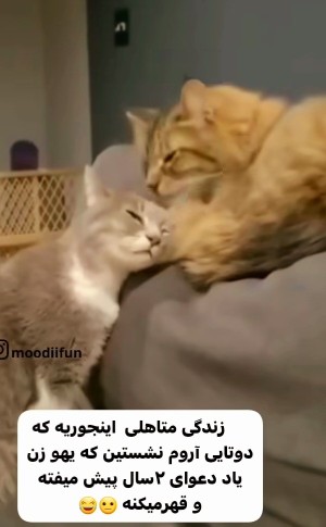 دقیقا👏😂😂😂