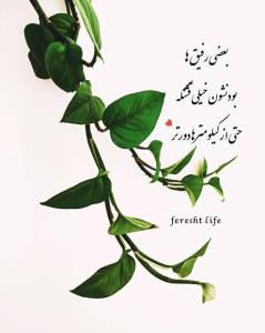 سلامتی رفیق‌های بامعرفت 