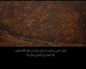 عجب سخنی 🙄🙄🙄👍