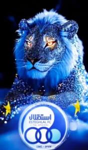 شیر به غرش افتاد کجایید لنگی ها😅😅😅