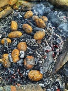 سلام دوست جونیا یه سیب زمینی آتیشی مون نشه؟😋😋