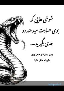 امان از آدم حسود هر چی خدا بیشترش بده باز حسود هست