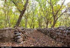 برگهای خزان بیشه زار