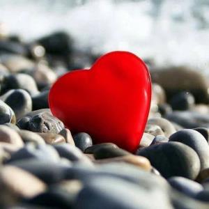 آرزوهـا
پیله هایے در دل هستند
ڪه با امید پروانه ای
بال گشوده