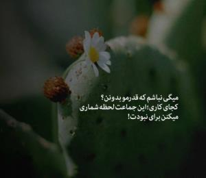 بی مرام هااااااااااا