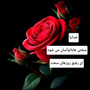 ✨امشب از خدایی که از همیشه
✨نزدیکتر است برایتان
✨عاشقانه‌تر