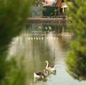 روزتون پراز شادی 