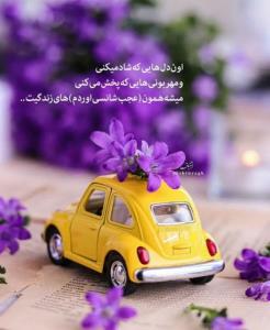 اون دلهایی که.....