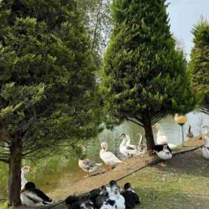 یه روز قشنگ 