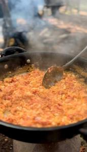 صبحتون بخیر