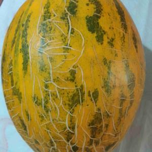 🤩🤩🤩🤩😍😍😍