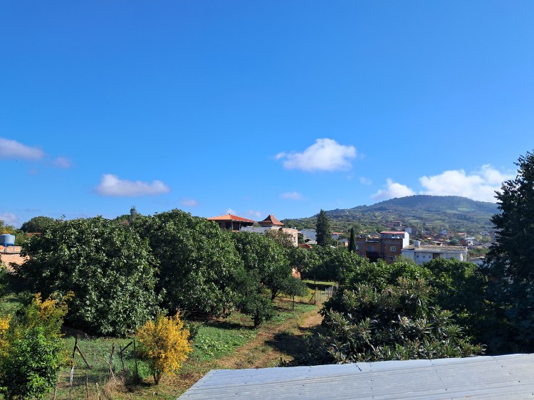 بعد یه روز هوای بارانی  زیبا و دلنشین برای دل شما🌷🌷🥰