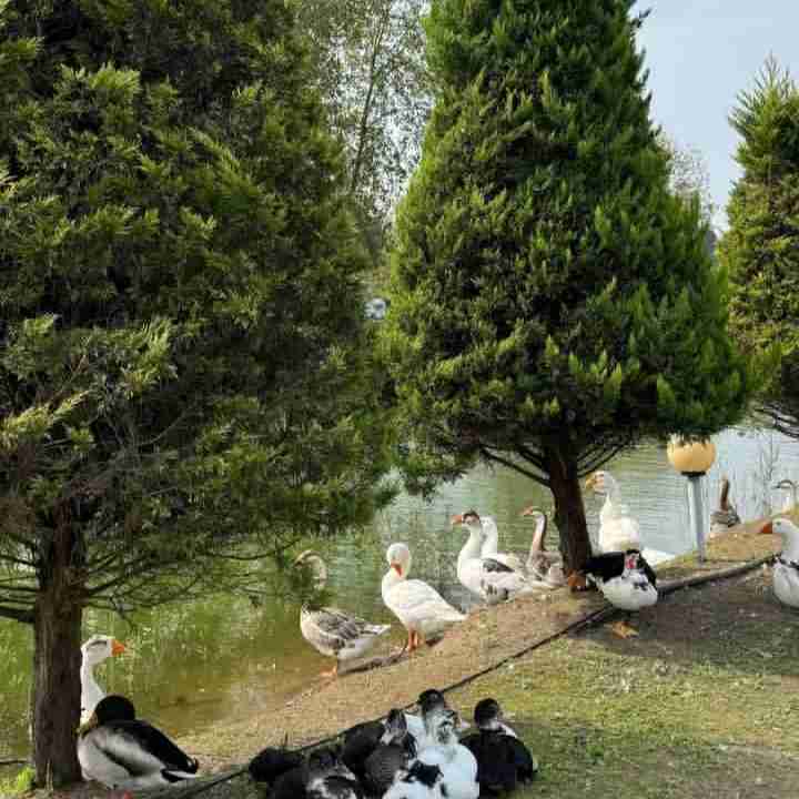 یه روز قشنگ 