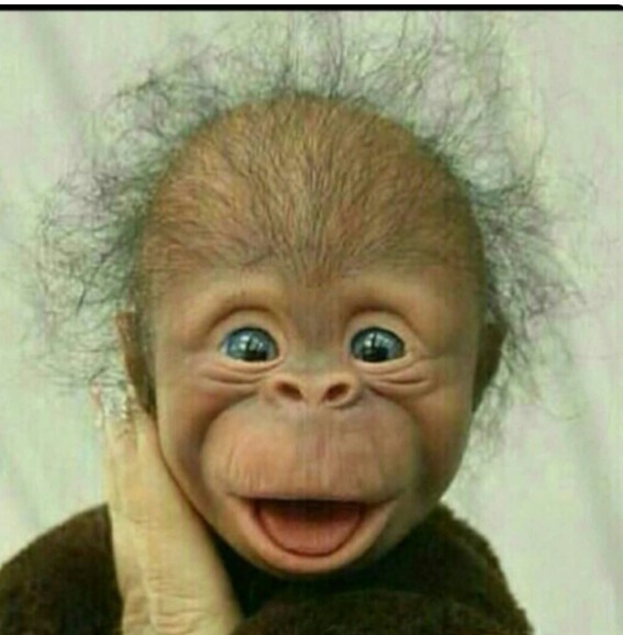 سلام عصرتون بخیر 😅😅