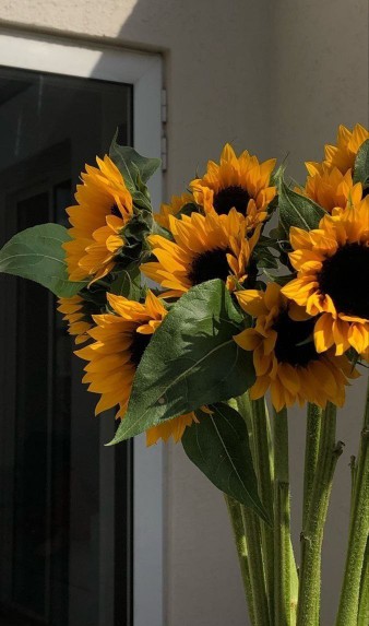 غروبتون دلنشین