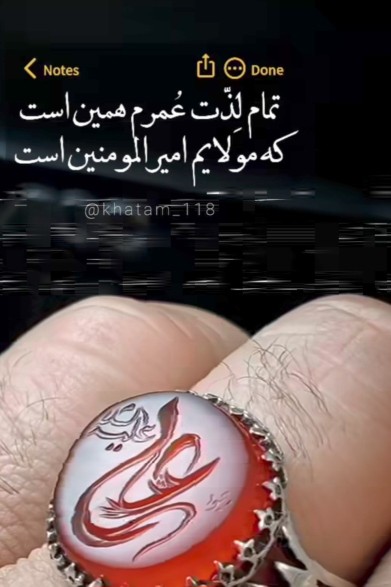 مولایم امیرالمؤمنین علی علیه السلام 