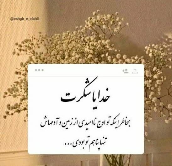 شکرت😊