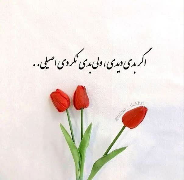 شبتون حسینی 