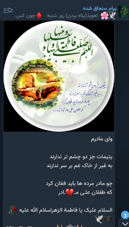 🪻🪻⚘️⚘️⚘️