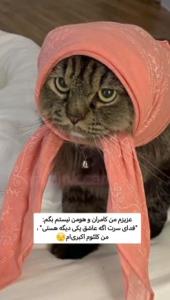 کلثوم اکبری🤧😂😂😂