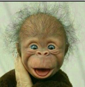 سلام عصرتون بخیر 😅😅