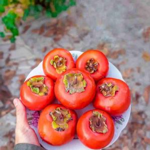 ♥️🍃
هیچ گلی به فکر رقابت
با گلهای دیگر نیست...
فقط 
شکفته
می شود...
در پیمودن راهتان
بردستاوردهای دیگران تمرکز نکنید،
فقط به خود بیاندیشید....🌸🍃
