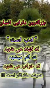 بزرگترین دارایی انسان ادب است ☝️