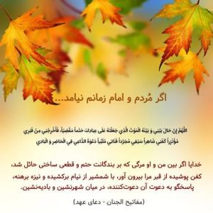 🪴الّلهُمَّ‌عَجِّـلْ‌لِوَلِیِّکَــ‌الْفَـرَج🪴