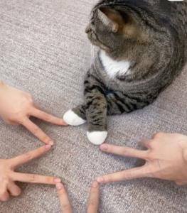 کپشن طنز 😂