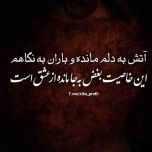 این ویرانه‌‌خانه را ابادکن ✔️